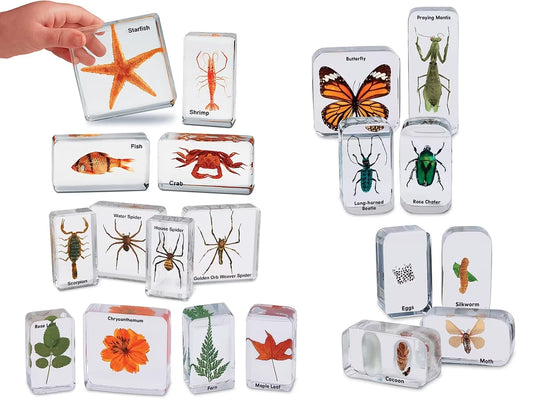 Easy-View Early Science Specimens - Complete Set - US 9480