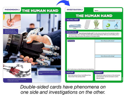 Meet the Standards Human Body Kit - Gr. 4 - US 7434
