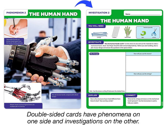 Meet the Standards Human Body Kit - Gr. 4 - US 7434