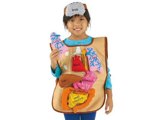 What’s Inside Me? Apron - US 4740