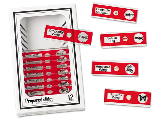Insects Prepared Slide Kit - US 3471