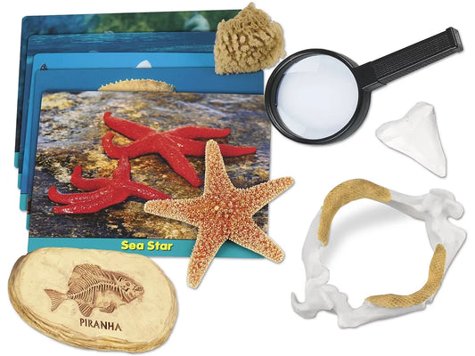 Sea Life Specimen Center - US 7236