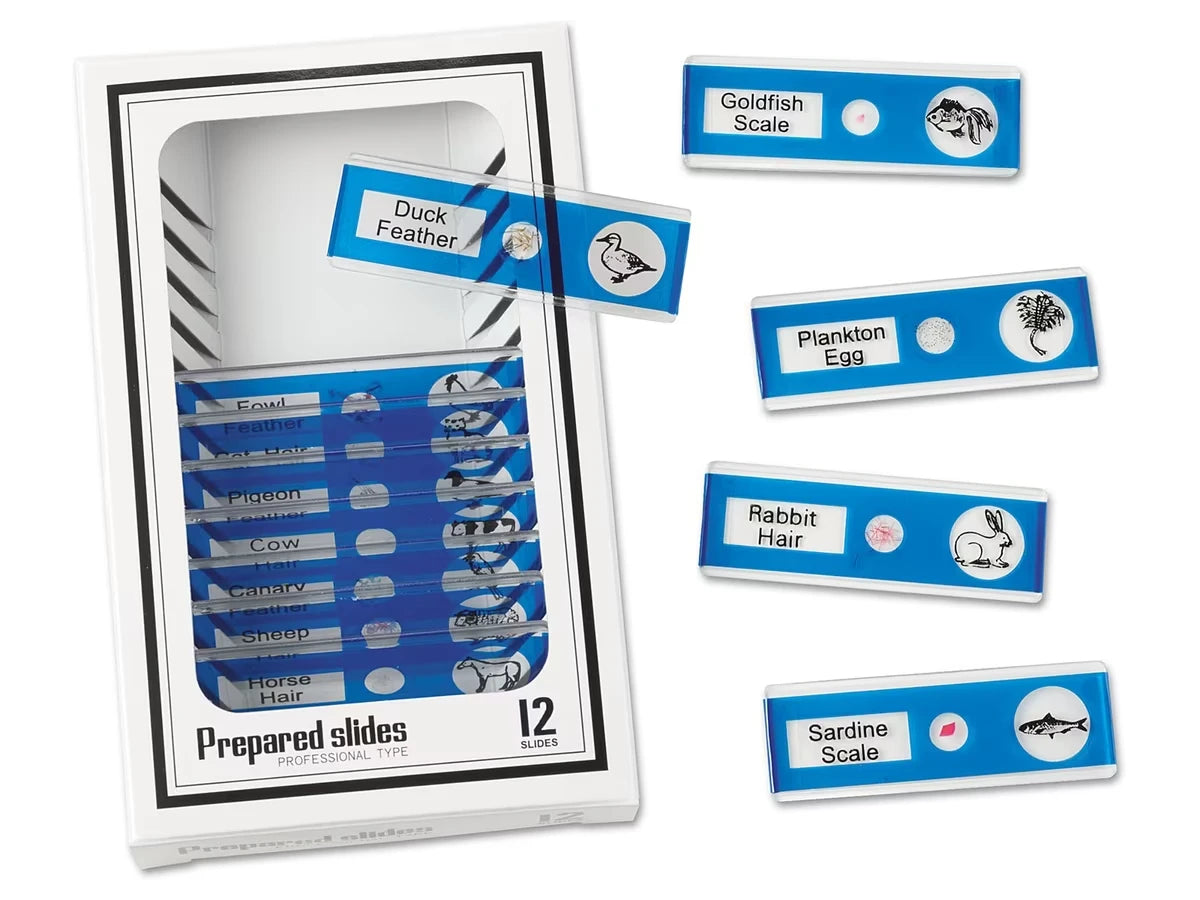 Animals Prepared Slide Kit - US 5339
