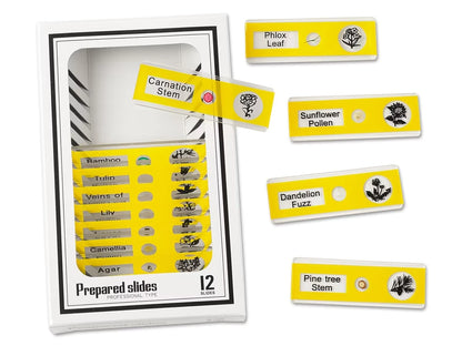 Plants Prepared Slide Kit - US 5689
