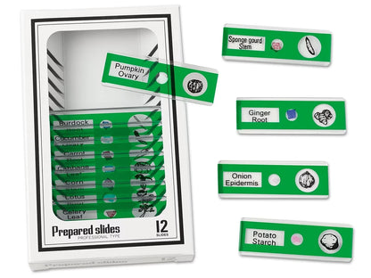 Vegetables Prepared Slide Kit - US 7386