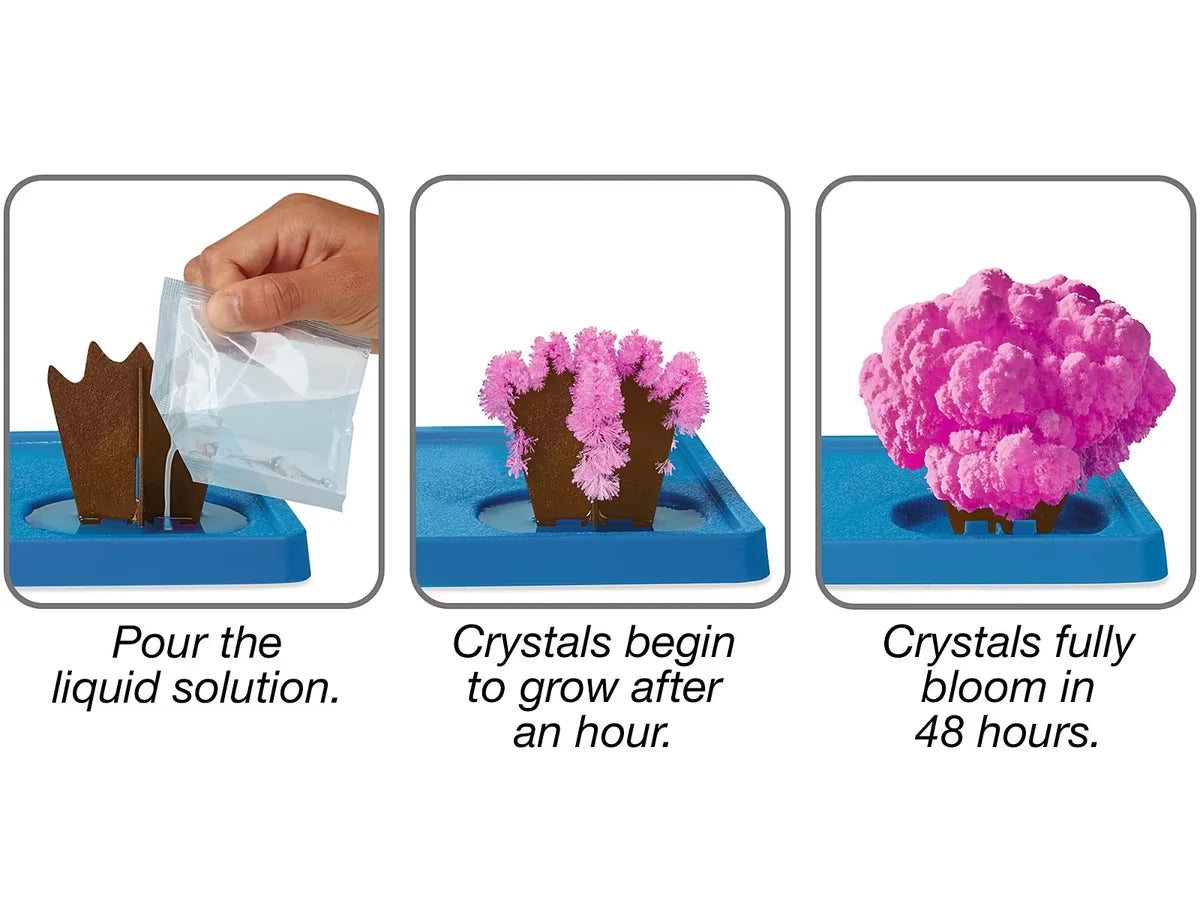 Animal Kingdom Magic Crystal Growing Kits - Complete Set - US 7366