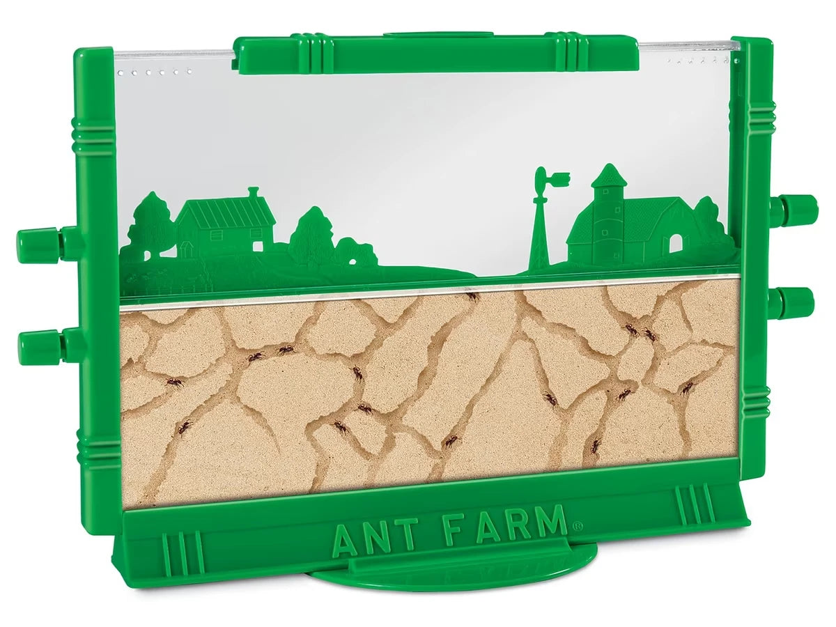 Ant Farm - US 5569