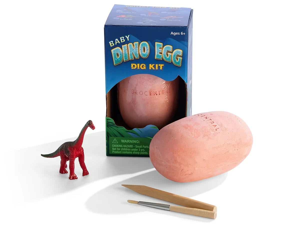 Baby Dino Egg Excavation Kit - US 9363