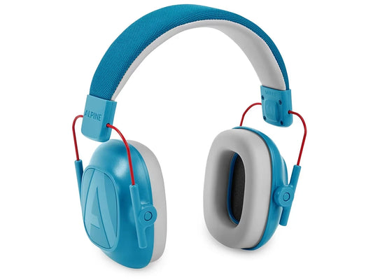 Noise-Reducing Earmuffs - US 3171