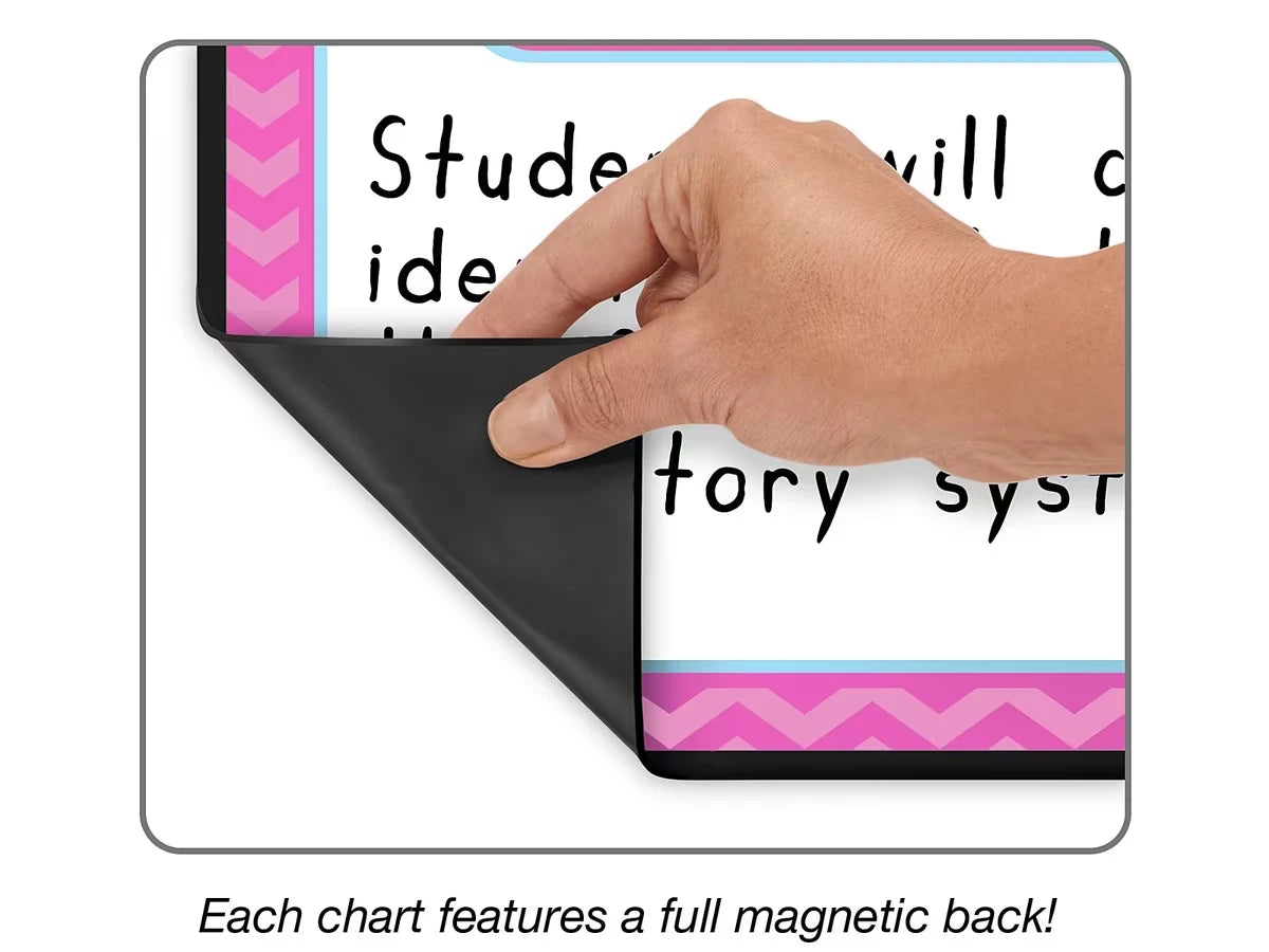 Magnetic Write & Wipe Organization Charts - US 4794