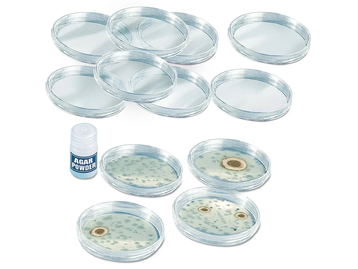 Growing Bacteria Classroom Kit - US 5673
